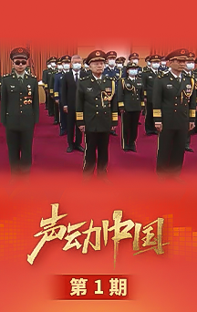 声动中国|闪亮的勋章